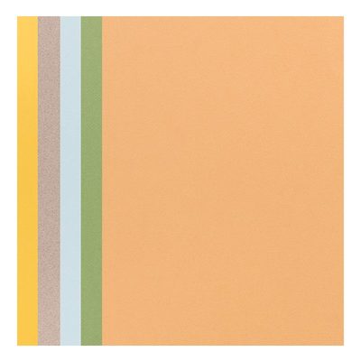 法国康颂8k色粉纸蜜丹纸160g加厚