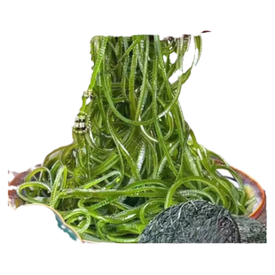 旅呀嘻大连旅顺特产压缩烘干海带丝圆饼商用泡发凉拌顶刀丝