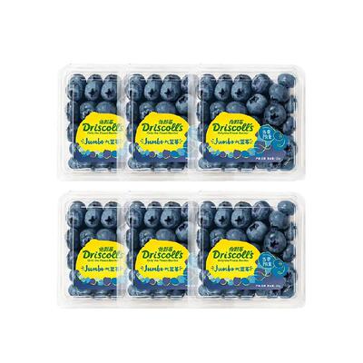 怡颗莓云南蓝莓大果包邮