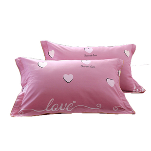 40x40抱枕大枕套定做尺寸6090大号成人一对装100*纯棉加大双单人