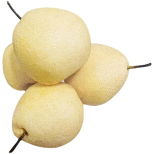 新鲜梨子山西贡梨水晶梨优质果原产地应季水果现发整箱10/5斤包邮