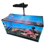 鱼缸盖防跳缸网盖磁吸防逃网雷龙鱼乌龟爬虫防逃盖子防坠网