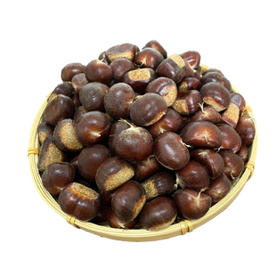 2025年迁西板栗生新鲜下树人工挑选老树3113农家自产油栗子特产