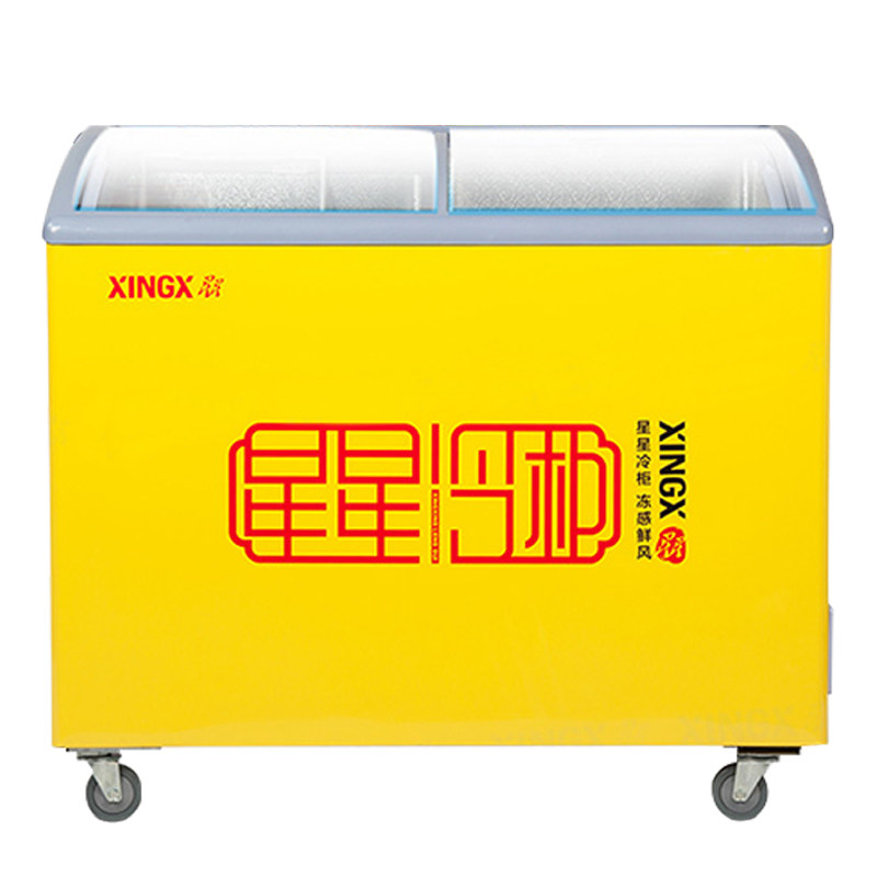 卧式展示柜XINGX/星星商用