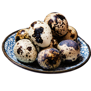 凡人乐50枚新鲜生鹌鹑蛋农家散养杂粮喂养当日高品质精选土特产