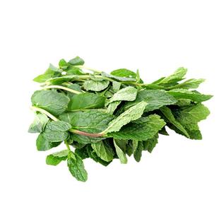 【老一生鲜】新鲜留兰香薄荷叶500g 顺丰包邮莫吉托调酒食用 薄荷