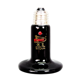 宝龙爬虫远红外线陶瓷灯加热灯水陆龟保温灯带指示灯猫狗宠物加温