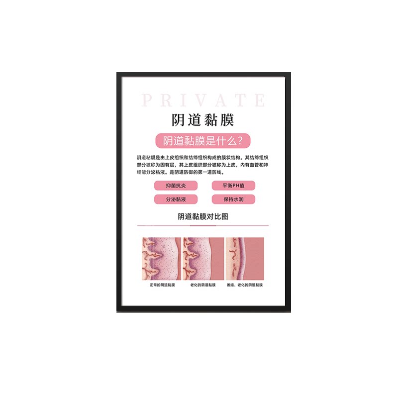 整套女性各阶私密保养墙画 美容院医美产康壁挂画生殖养护装饰画