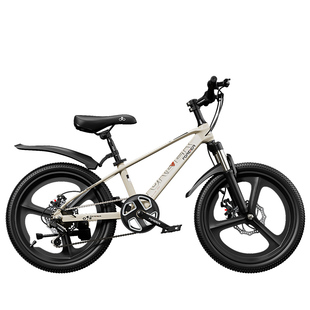 永久儿童男孩女孩变速山地车青少年单车碟刹镁合金车架避震轻便