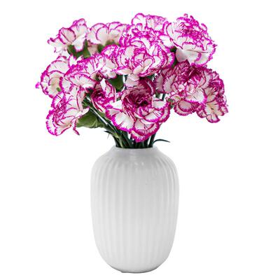 云南鲜花康乃馨真花百合洋桔梗花