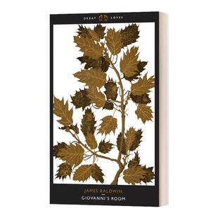 乔凡尼的房间 英文原版 Giovanni's Room 詹姆斯鲍德温 James Baldwin英文版 进口英语原版书籍