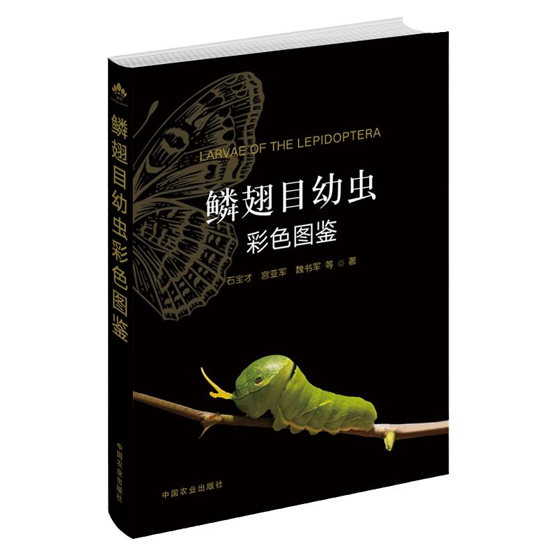 鳞翅目幼虫彩色图鉴 幼虫彩色图鉴28173石宝才 宫亚军 魏书军 陈金翠 马丽君 曹利军 鳞翅目 幼虫 彩色图鉴 毛毛虫中国农业出版社