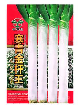 寒青金杆王大葱种子抗热抗寒