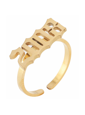 年份情侣钛钢小众戒指幸运数字