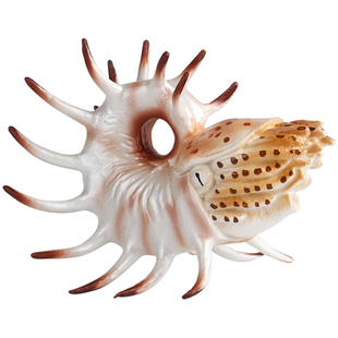 林畅模玩二叠纪史前海洋生物模型库珀角石仿真动物儿童玩具鹦鹉螺