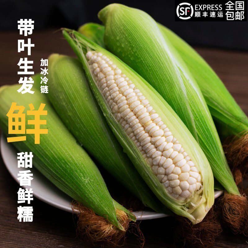 萍萍家带叶鲜发 冷链运输甜糯玉米新鲜粗粮轻食孕妇现摘包邮