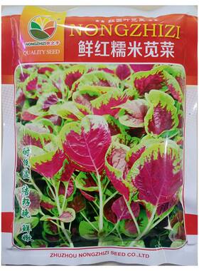 农之子鲜红糯来苋菜种子500克