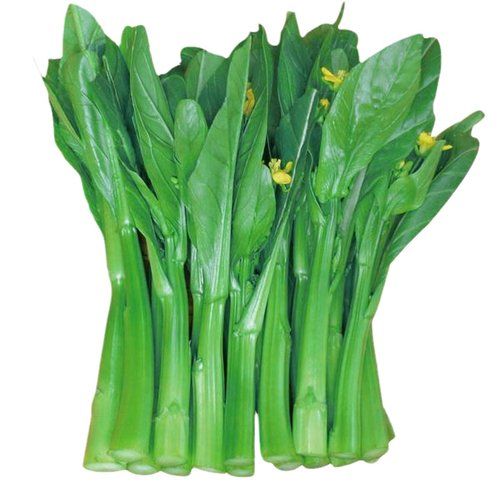 广东菜心种籽皇家尖叶60天油青甜菜心种子油菜籽种菜苔种孑春秋季