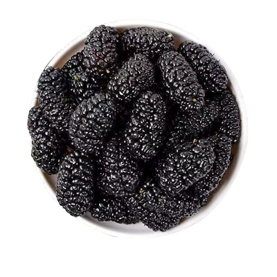 桑葚干桑甚干黑桑葚干中药材500g黑桑椹泡茶泡水酒喝即食新货新疆