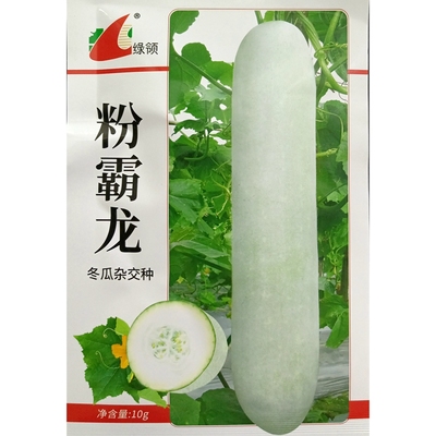 绿领粉霸龙冬瓜种子粉皮冬瓜节瓜