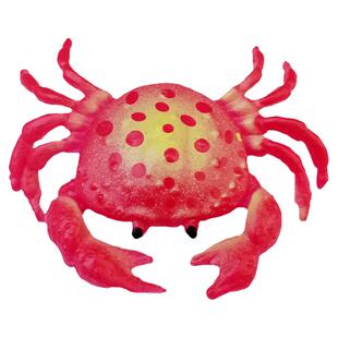 海洋鱼虫子毛毛虫蜥蜴鳄鱼蜘蛛青蛙猪牛狗大象各种小动物模型玩具