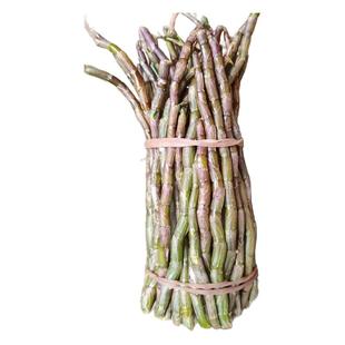 新鲜铁皮石斛鲜条500g特级石斛苗中药煲汤泡茶养胃去虚火调理养生