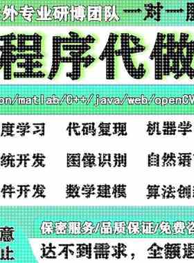 python代编程matlab算法代码定制深度学习javaC#C++程序代写C语言