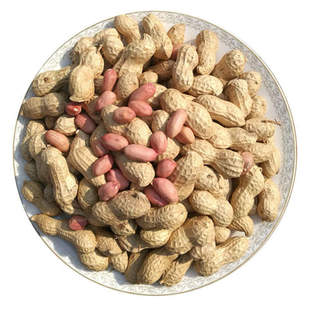 2025年新货自然晒干带壳生花生的原味炒熟粉皮大颗粒高产可做种子