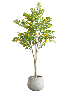 仿真柠檬果子树植物造景米粒家饰