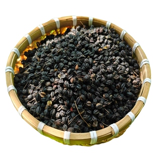 东北野生刺五加籽刺五加果刺五加中药材刺五加果实五加籽250g包邮