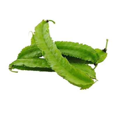 高产四棱豆种子四季播种