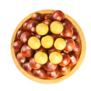 【特大果】2025年福建建瓯高山锥栗板栗生新鲜油栗子现摘毛尖栗子