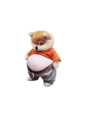 创意可爱柴犬造型门挡摆件