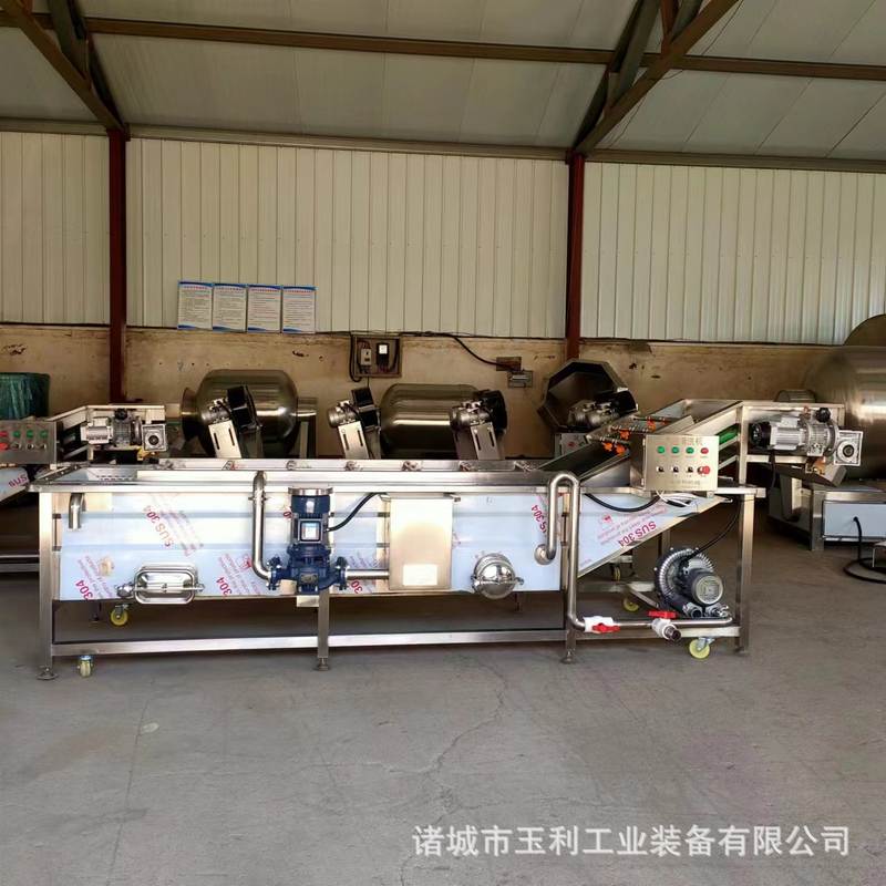 水果气泡清洗机 喷淋瓜果葡萄西红柿桃子清洗设备 辣椒清洗设备