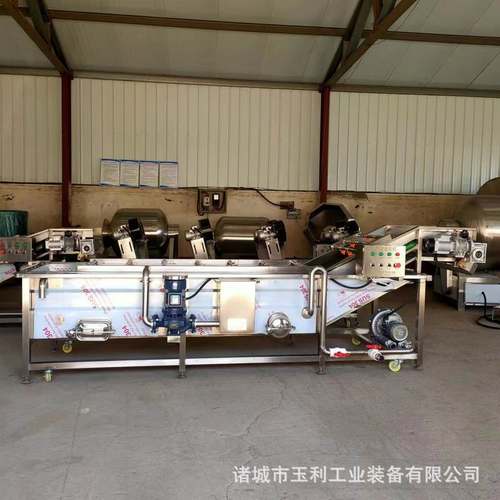 水果气泡清洗机 喷淋瓜果葡萄西红柿桃子清洗设备 辣椒清洗设备