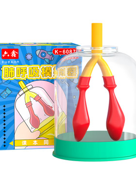 膈肌运动模拟器肺呼吸模型制作人体肺气体交换初中生物实验器材教学仪器教具学具有机玻璃生物肺腹式呼吸通气