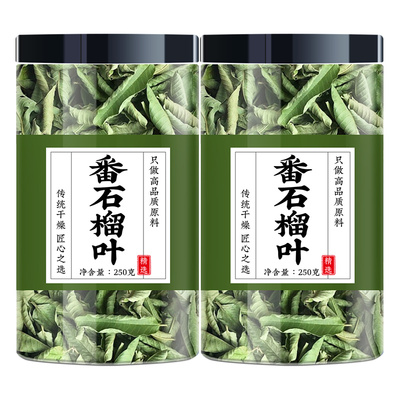 番石榴叶茶泡水喝降潘石留糖泡茶
