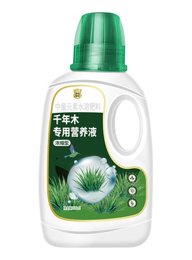千年木营养液马尾铁七彩铁专用肥