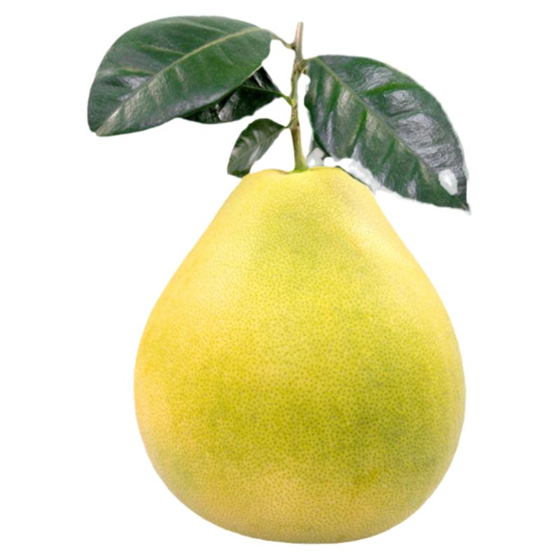 正宗金兰柚安福蚕子江西特产萍乡井冈山蜜柚白柚子青柚香柚小柚子
