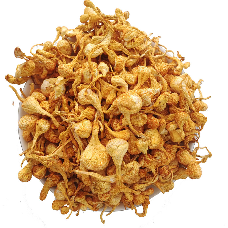 津泰康【孢子头虫草花】饱满香浓蘑菇菌干货煲粥汤蒸鸡炖肉无硫黄