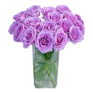 悦多彩.康乃馨鲜花随机色