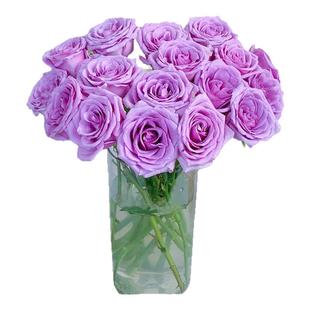 AB级玫瑰鲜切花情人节礼物送速递云南基地直发水养悦多彩鲜花切花