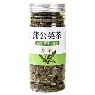 蒲公英茶精选婆婆丁新鲜健康蒲公英根茶叶生养生茶泡水喝蒲公英