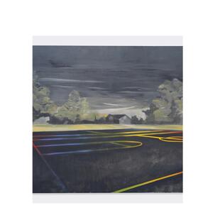 【预售】多米尼克·钱伯斯：出生地英文艺术家艺术工作室进口原版外版书简装14岁以上Dominic Chambers: BirthplaceDominic Cham