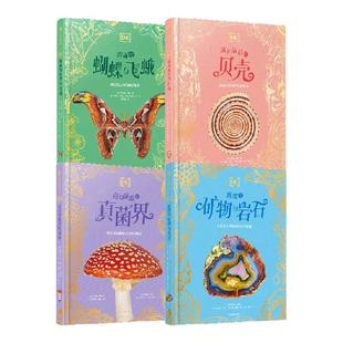 【6-12岁】DK珍奇博物馆 矿物 真菌 蝴蝶 贝壳  全4册纯书  阿里 阿什比 林恩 博迪 理查德 琼斯 西蒙 艾肯著 中信出版社图书 正版
