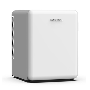 HOMESUN寝室公寓静音高颜值小冰箱家用小型迷你饮料面膜冷藏冰箱