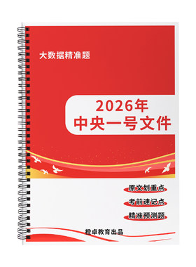文件1号模拟试题全文三农乡村