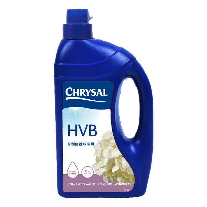 可利鲜hvb木本绣球补水醒花保鲜