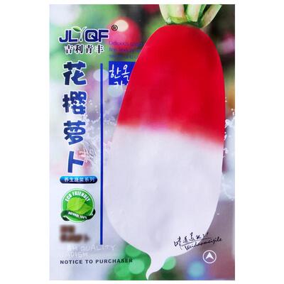 夏秋季甜脆花樱萝卜蔬菜种孑白肉