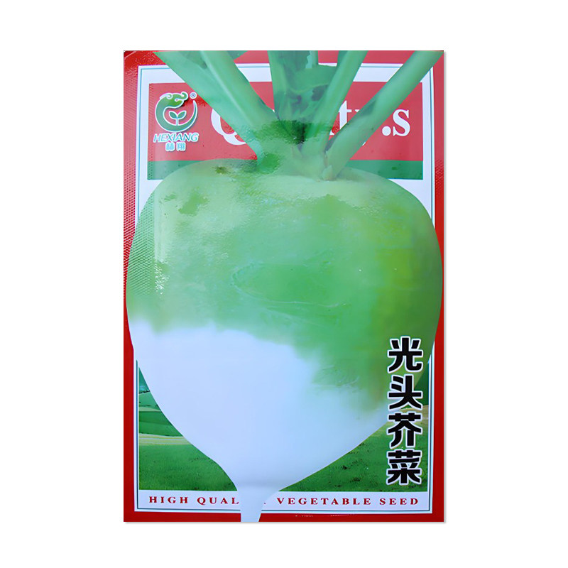 赫翔光头芥菜种子蔬菜种籽子